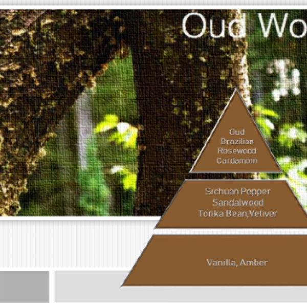 Oud Wood -10ml Αρώματα για Συσκευή A601  & Α8 -10ml